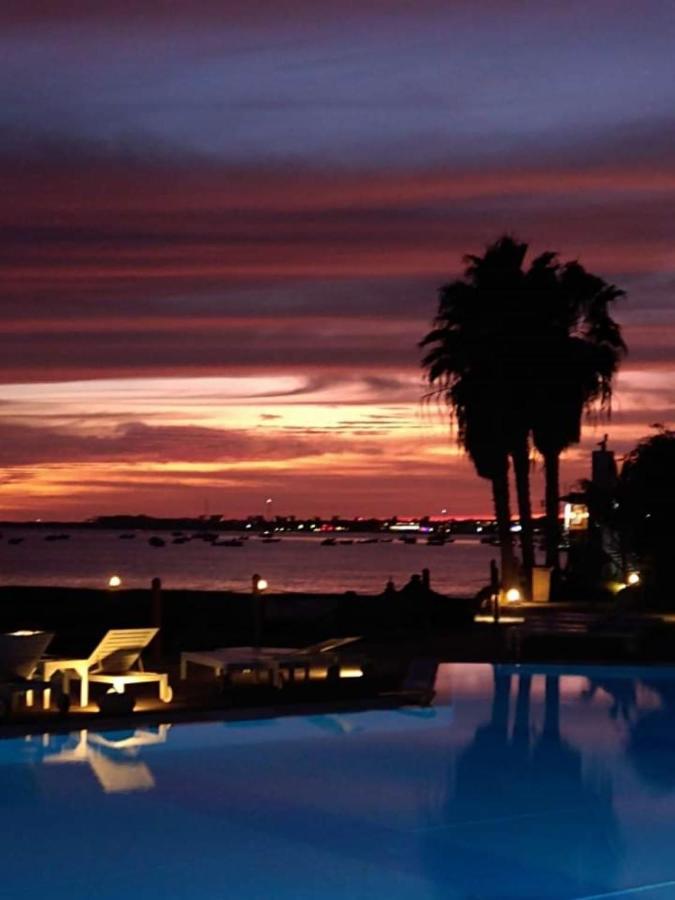 Porto Antigo - Charming & Peaceful Apartment Overlooking Pool And Sea Santa Maria Eksteriør billede